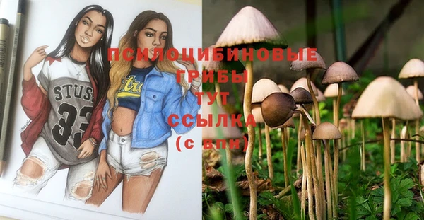 MESCALINE Аркадак