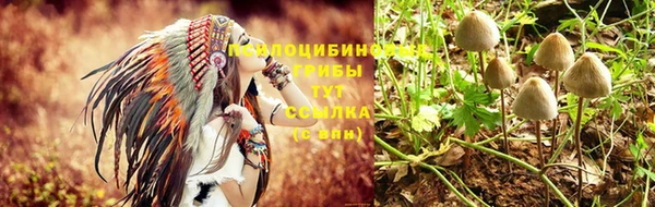 MESCALINE Аркадак