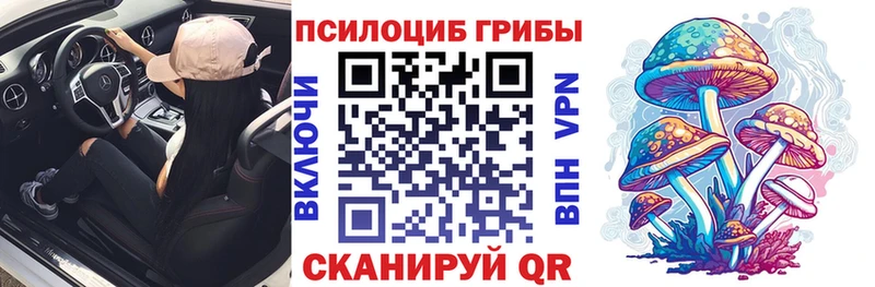 как найти закладки  Тобольск  Галлюциногенные грибы Psilocybine cubensis 