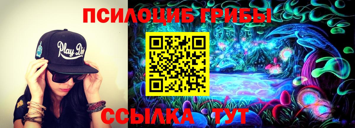 Тобольск  Псилоцибиновые грибы мицелий  Вход с VPN  Галлюциногенные грибы Psilocybine cubensis 